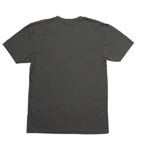 Taylor Roadie T