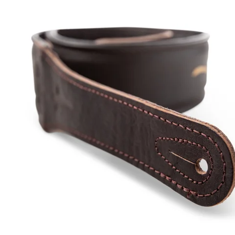Taylor Spring Vine 2.5" Embroidered Leather Guitar Strap - Chocolate Brown