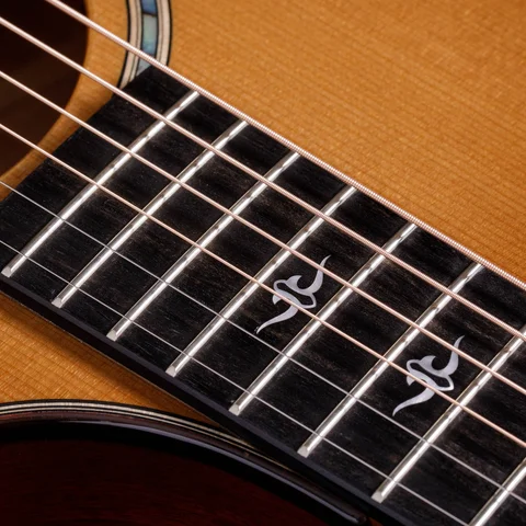 アコースティックギター500シリーズ | Taylor Guitars