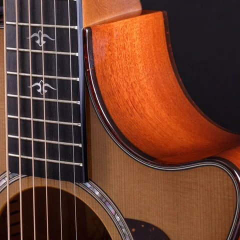 アコースティックギター500シリーズ | Taylor Guitars