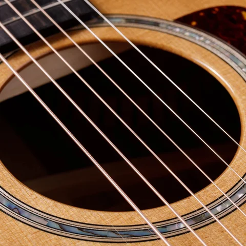 アコースティックギター500シリーズ | Taylor Guitars