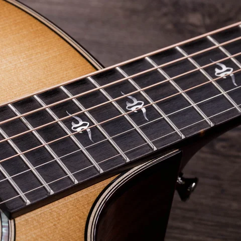 アコースティックギター500シリーズ | Taylor Guitars