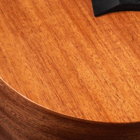 Baby Mahogany (BT2)