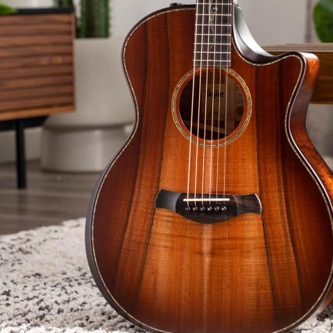アコースティックギター　taylor 50th Anniversary Collectionアコースティックギター | Taylor