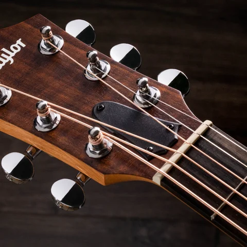 シリーズ別のアコースティックギターTaylor Guitars