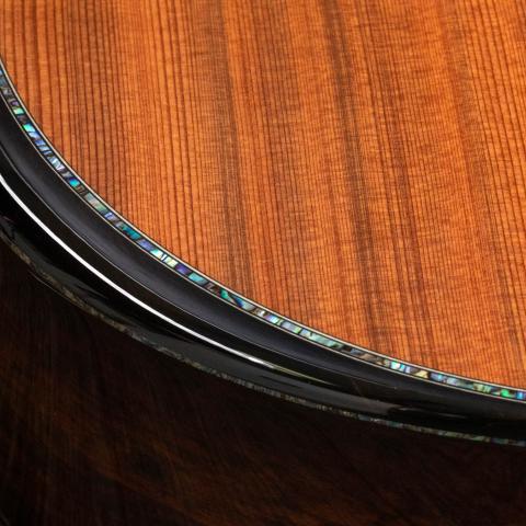 PS12ce 12-Fret Honduran Rosewood