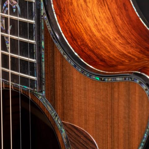 PS12ce 12-Fret Honduran Rosewood