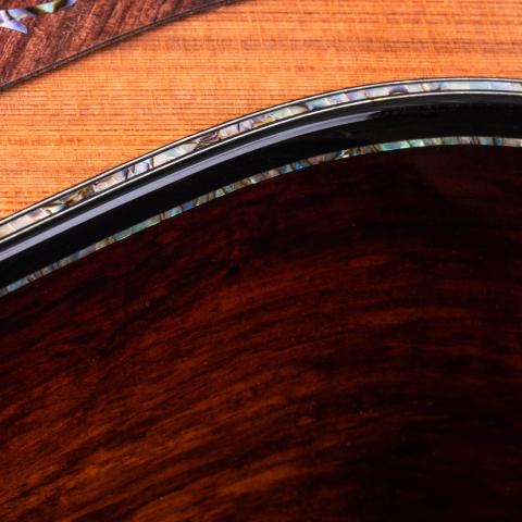 PS12ce 12-Fret Honduran Rosewood