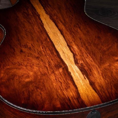 PS12ce 12-Fret Honduran Rosewood