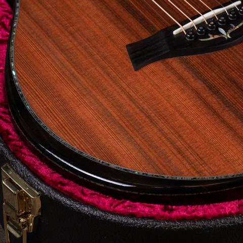 PS12ce 12-Fret Honduran Rosewood