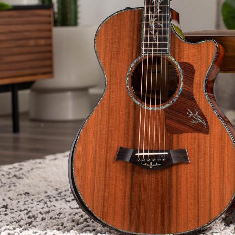 PS12ce 12-Fret Honduran Rosewood