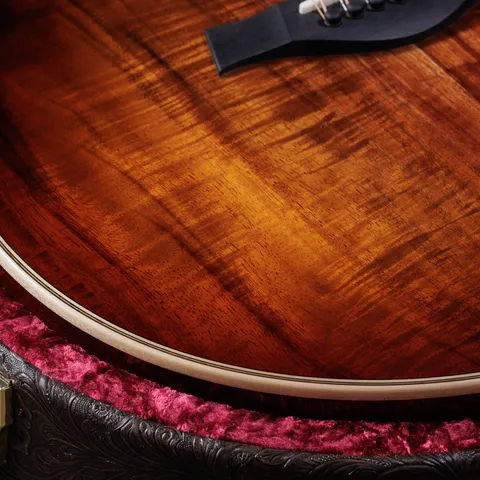 Limited Edition Guitars | Tayor Guitars