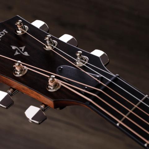 400 Series Acoustic Guitars | Taylor Guitars