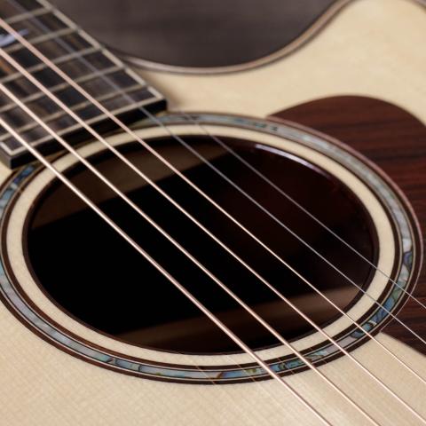 Taylor110純正キグバック付き。 TAYLOR 110|ドルフィンギターズ