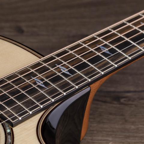 Taylor エレクトリックアコースティックギター ブラック アコースティックギター | Taylor Guitars