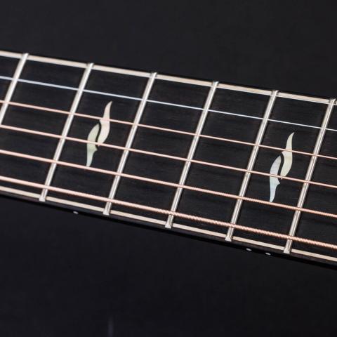 50th Anniversary Builder's Edition 814ce LTD