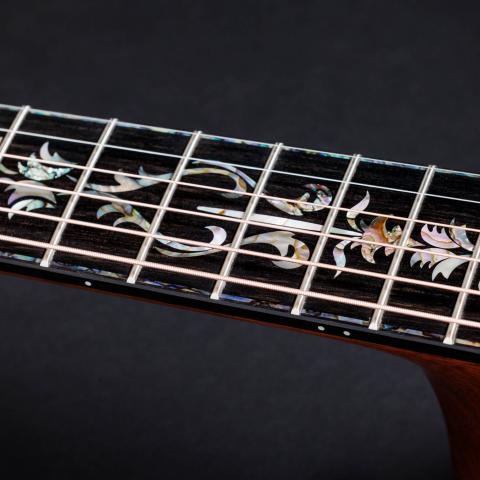 50th Anniversary PS14ce LTD