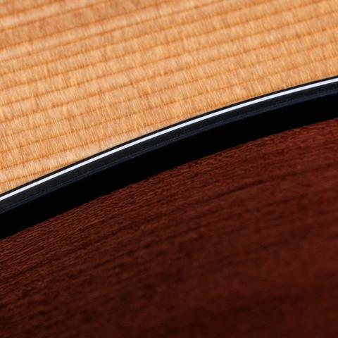 100 Series Acoustic Guitars | Taylor Guitars