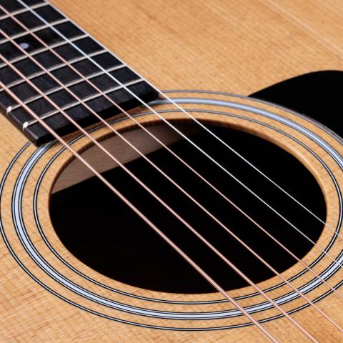 100 Series Acoustic Guitars | Taylor Guitars
