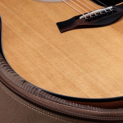 100 Series Acoustic Guitars | Taylor Guitars
