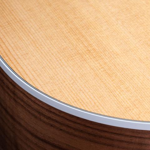 Search Results | Taylor Guitars