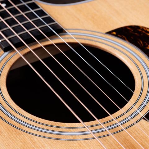 200 Series Acoustic Guitars | Taylor Guitars