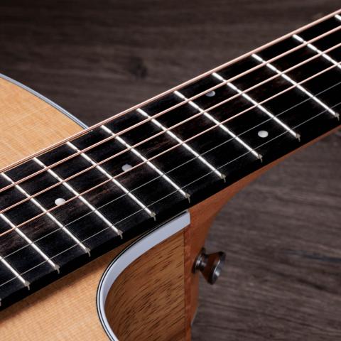 アコースティックギター200シリーズ | Taylor Guitars