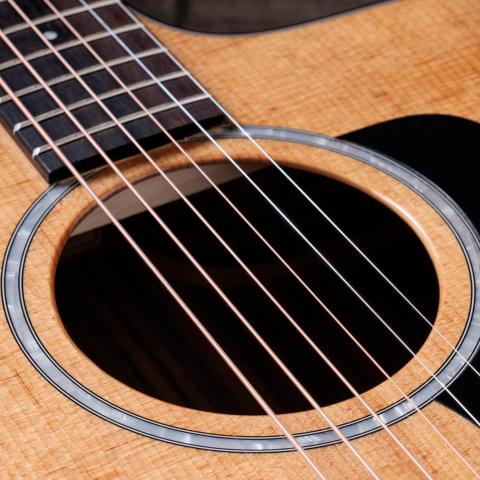 Taylor Guitars