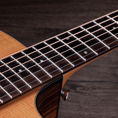 い出のひと時に、とびきりのおしゃれを！ 200 Series Acoustic Guitars | Taylor Guitars ギター