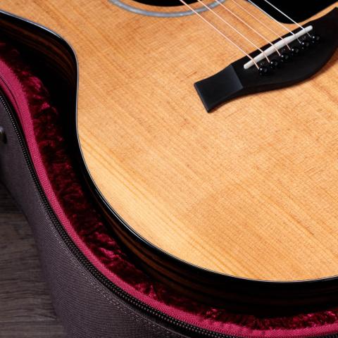 Taylor 210ce ソフトハードケース・新品弦付き Taylor 210ce ソフトハードケース・新品弦付き Taylor 210