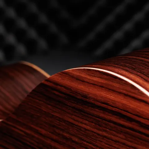 50th Anniversary GS Mini-e Rosewood SB LTD