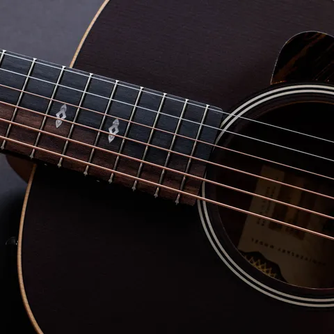 50th Anniversary GS Mini-e Rosewood SB LTD