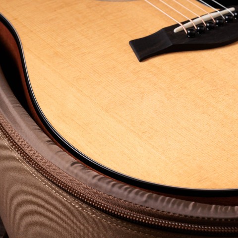 100 Series Acoustic Guitars | Taylor Guitars