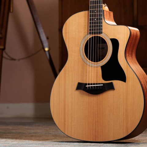 100 Series Acoustic Guitars | Taylor Guitars