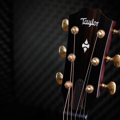 50th Anniversary Builder's Edition 314ce LTD