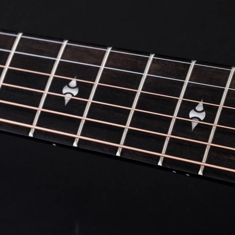 50th Anniversary Builder's Edition 314ce LTD