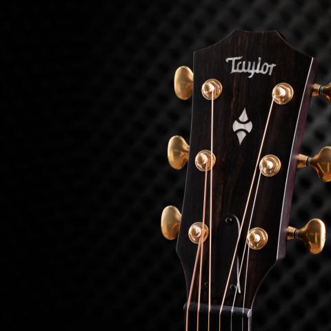 50th Anniversary Builder's Edition 314ce LTD