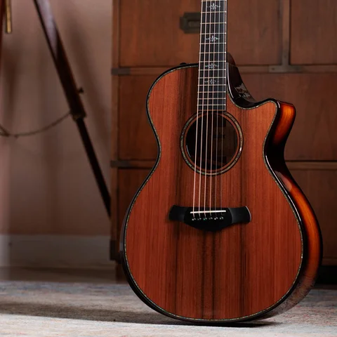 900 Series アコースティックギター | Taylor Guitars