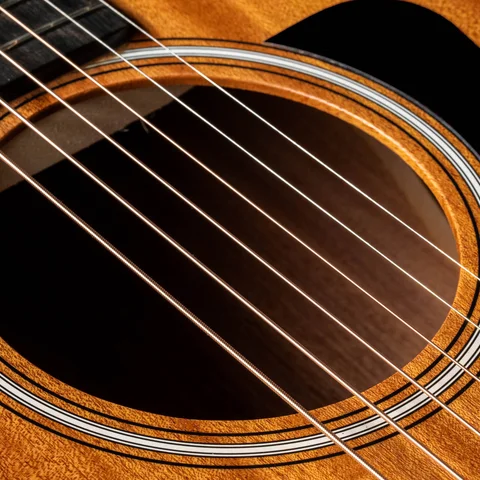 Left Handed Acoustic Guitars | Taylor Guitars