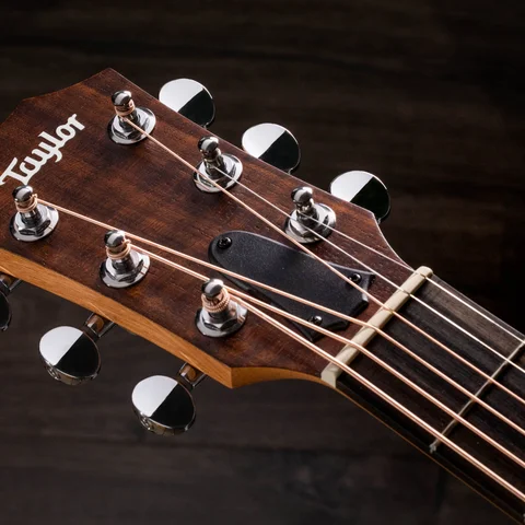 ミニギター: GS Mini シリーズ | Taylor Guitars