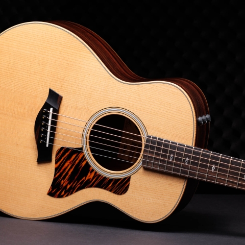 50th Anniversary GS Mini-e Rosewood LTD