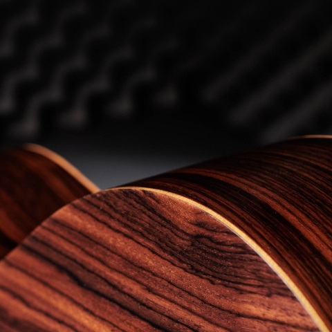 50th Anniversary GS Mini-e Rosewood LTD