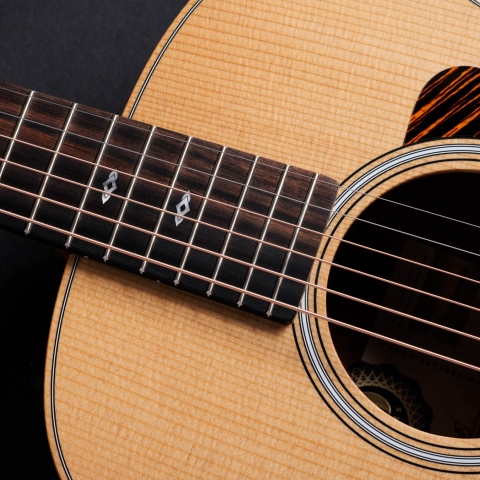 50th Anniversary GS Mini-e Rosewood LTD