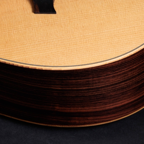 50th Anniversary GS Mini-e Rosewood LTD
