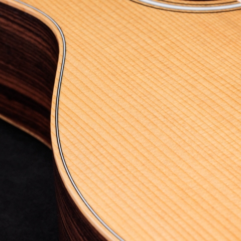 50th Anniversary GS Mini-e Rosewood LTD
