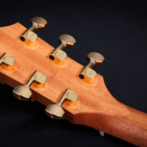 50th Anniversary GS Mini-e Rosewood LTD
