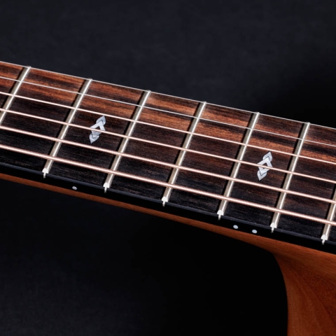 50th Anniversary GS Mini-e Rosewood LTD