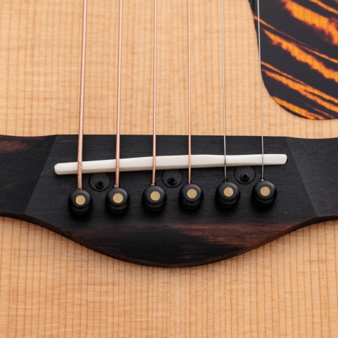 50th Anniversary GS Mini-e Rosewood LTD