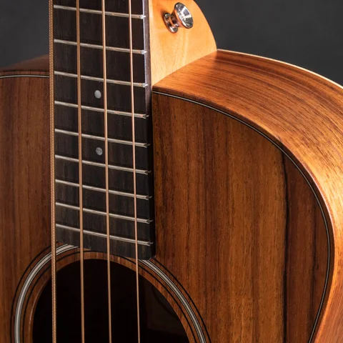GS Mini Bass | Taylor Guitars