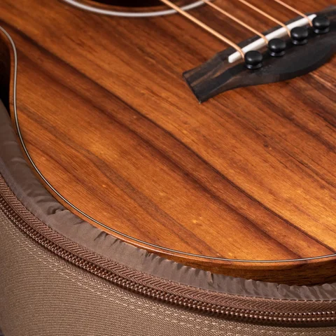 GS Mini Bass | Taylor Guitars